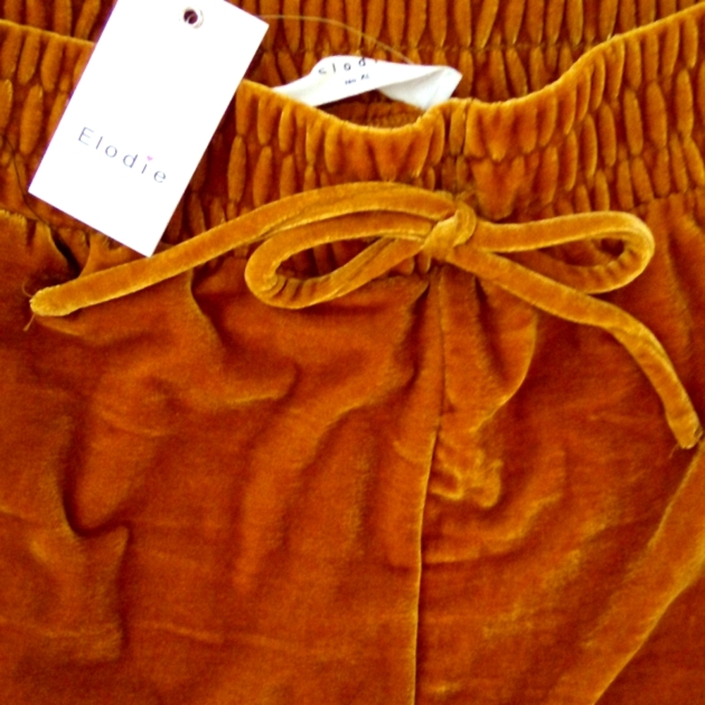 NWT VELVET PANTS - Picture 2 of 4